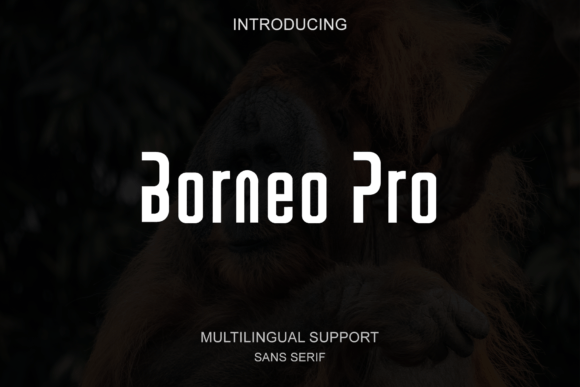 Borneo Pro Typeface for Modern Branding